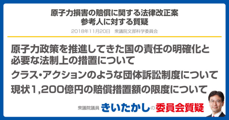原子力損害の賠償に関する法律改正案・参考人に対する質疑　衆議院議員　きいたかし　福岡10区　(北九州市門司区・小倉北区・小倉南区)