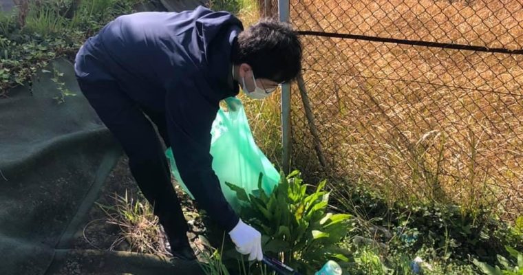 小倉城の桜が満開　衆議院議員 きいたかし 福岡10区(北九州市門司区・小倉北区・小倉南区)