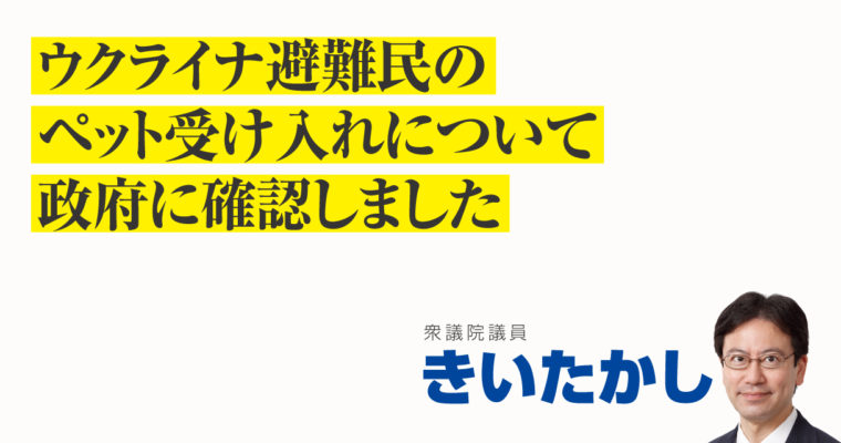 ウクライナ避難民のペット受け入れについて政府に確認しました　衆議院議員 きいたかし 福岡10区(北九州市門司区・小倉北区・小倉南区)