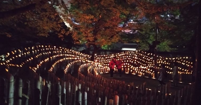 小倉城竹あかり　衆議院議員　きいたかし　福岡10区（北九州市門司区・小倉北区・小倉南区）