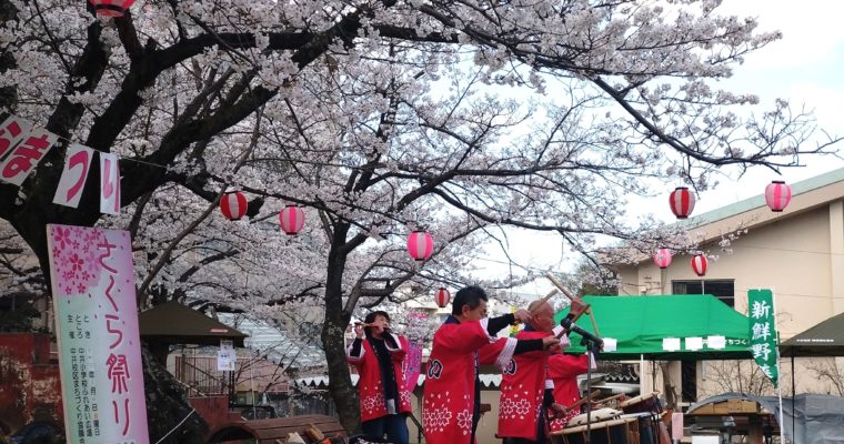 花冷えの中、さくらまつりへ　衆議院議員　きいたかし　福岡10区（北九州市門司区・小倉北区・小倉南区）