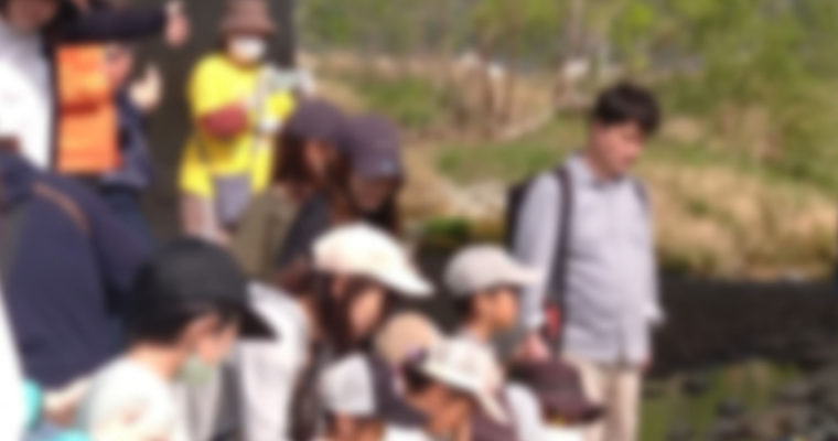 今年も紫川に鮎を放流　衆議院議員　きいたかし　福岡10区（北九州市門司区・小倉北区・小倉南区）